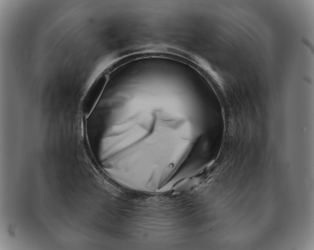 X0000091221368200708301442