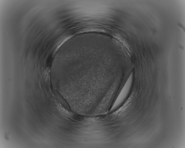 X0000091221369200708301442