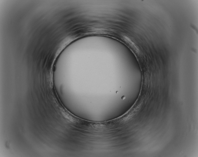 X0000091221370200708301442