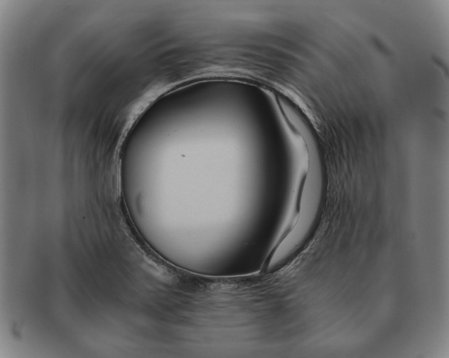 X0000091221371200708301442