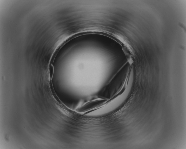 X0000091221372200708301442