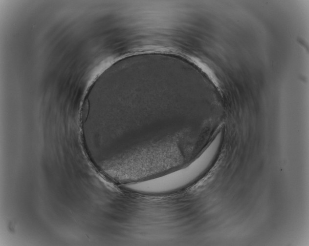 X0000091221373200708301442