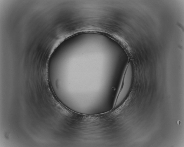 X0000091221374200708301442