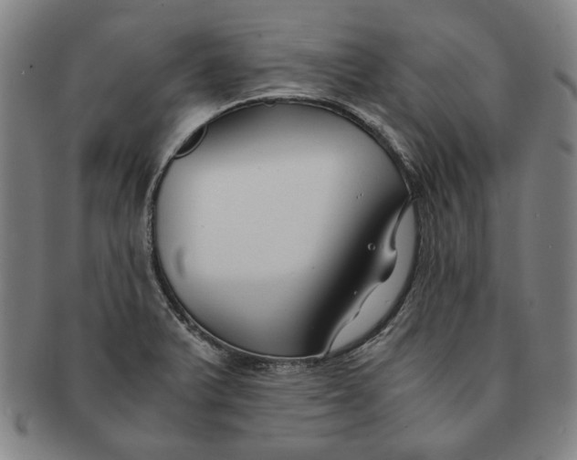 X0000091221375200708301442