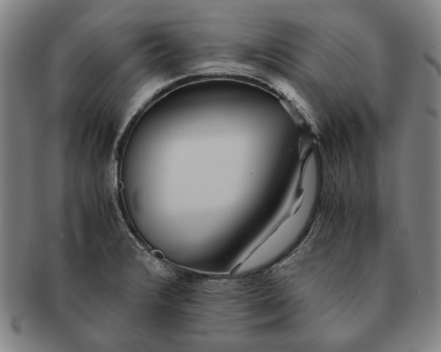 X0000091221376200708301442