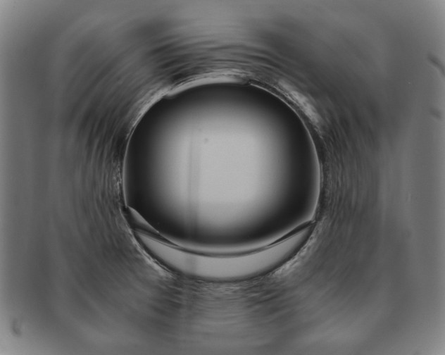 X0000091221377200708301442