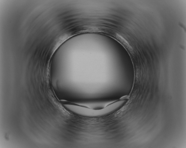 X0000091221378200708301442