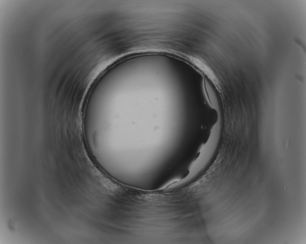 X0000091221380200708301442