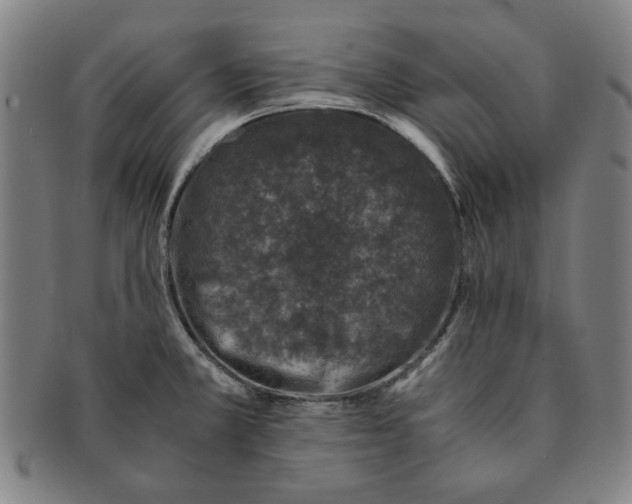 X0000091221381200708301442