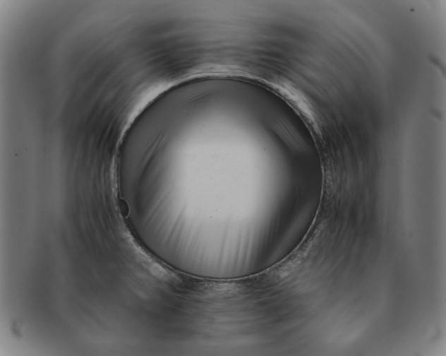 X0000091221382200708301441