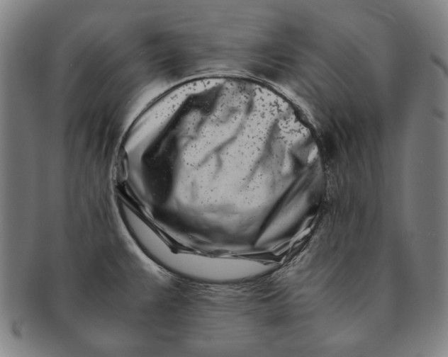 X0000091221383200708301441