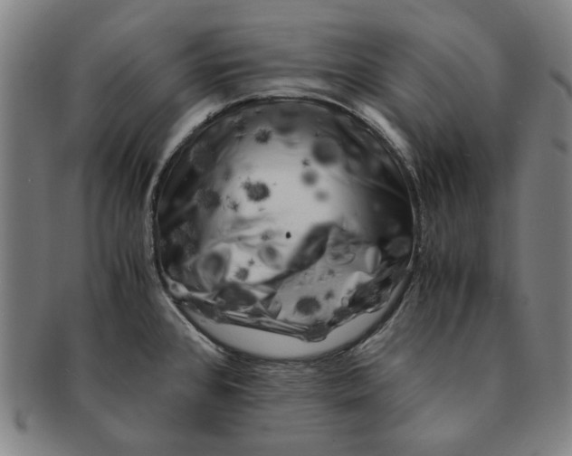 X0000091221384200708301441