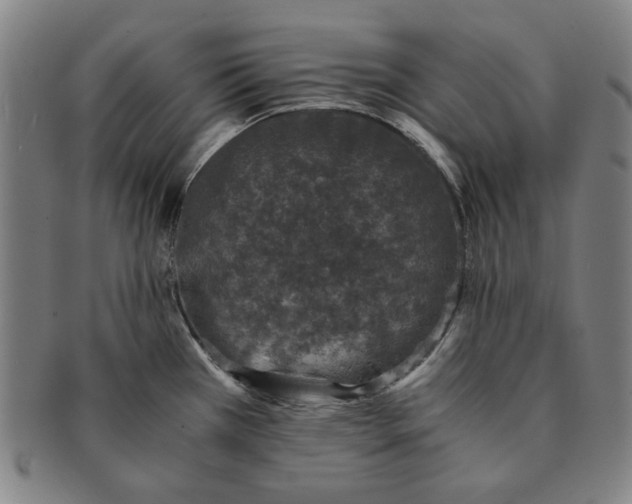 X0000091221385200708301441