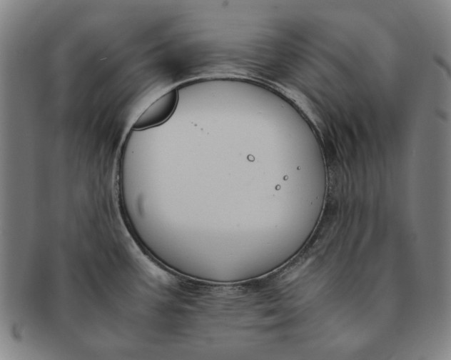 X0000091221387200708301441