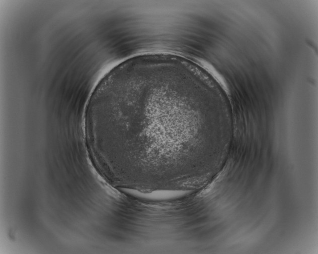 X0000091221388200708301441