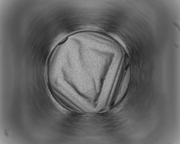 X0000091221391200708301441