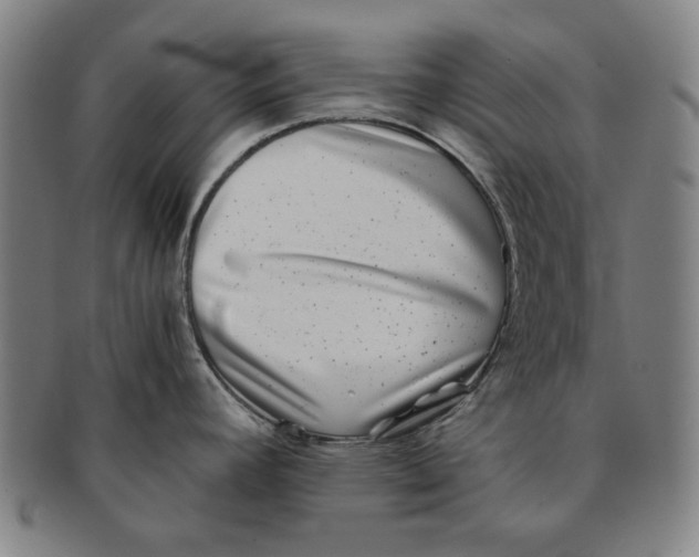 X0000091221392200708301441