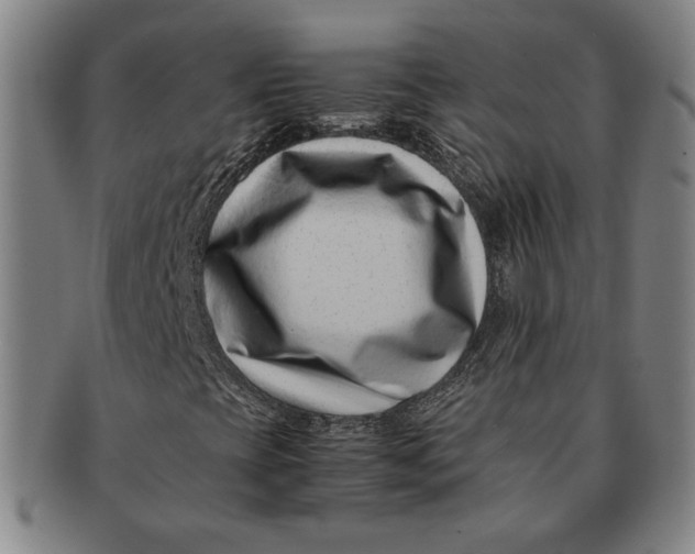 X0000091221393200708301441