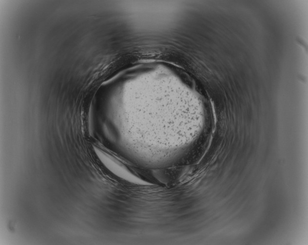 X0000091221394200708301441