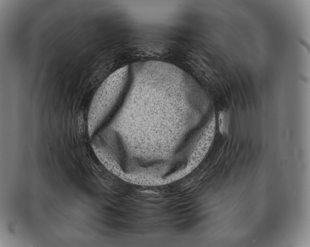 X0000091221395200708301441