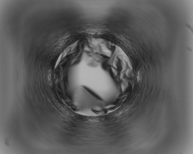 X0000091221396200708301441