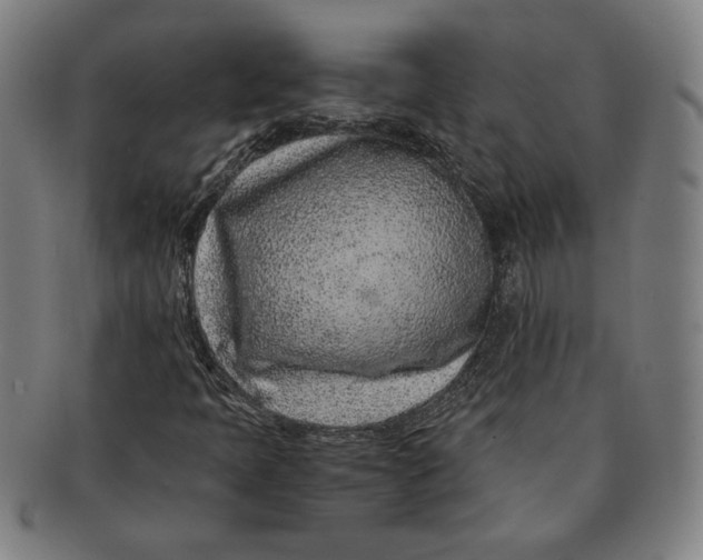 X0000091221397200708301441