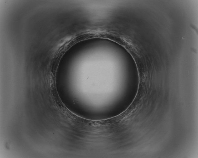 X0000091221398200708301441