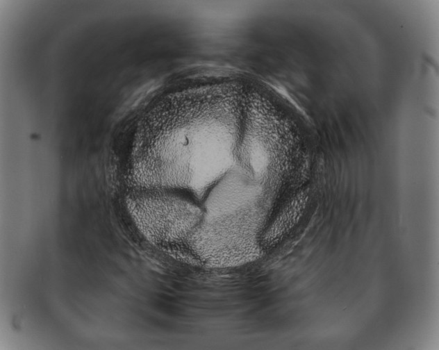 X0000091221399200708301441