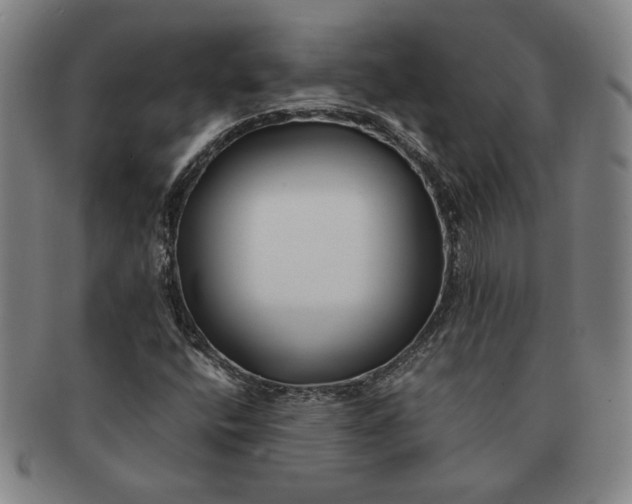 X0000091221400200708301441