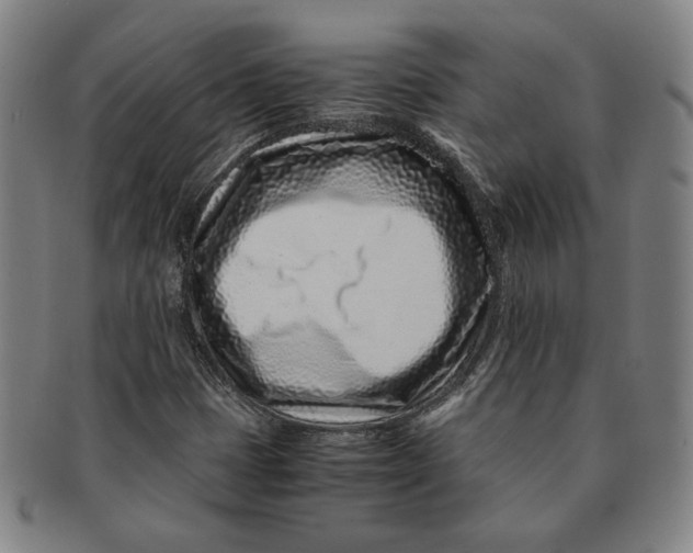 X0000091221401200708301441