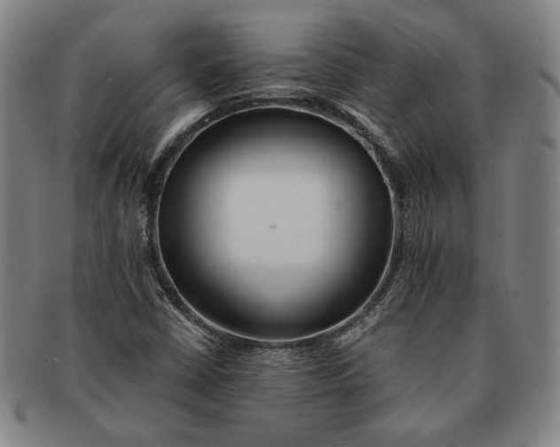 X0000091221402200708301441