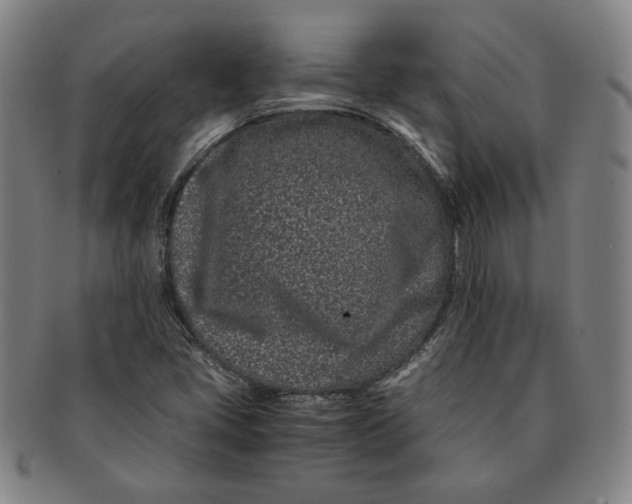 X0000091221405200708301441