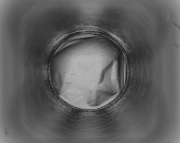 X0000091221407200708301441