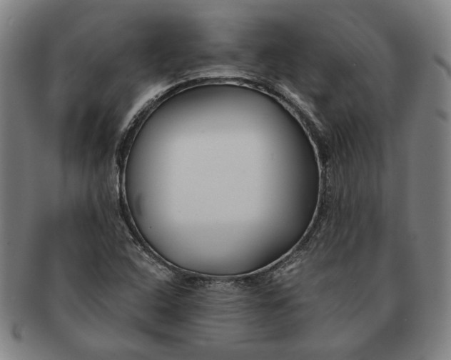 X0000091221408200708301441