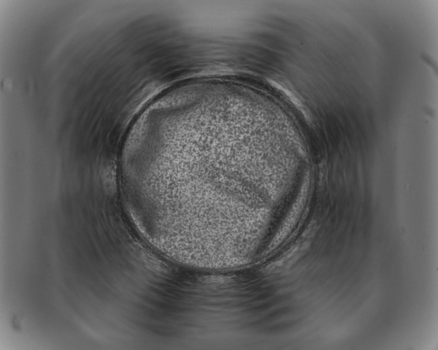 X0000091221409200708301441