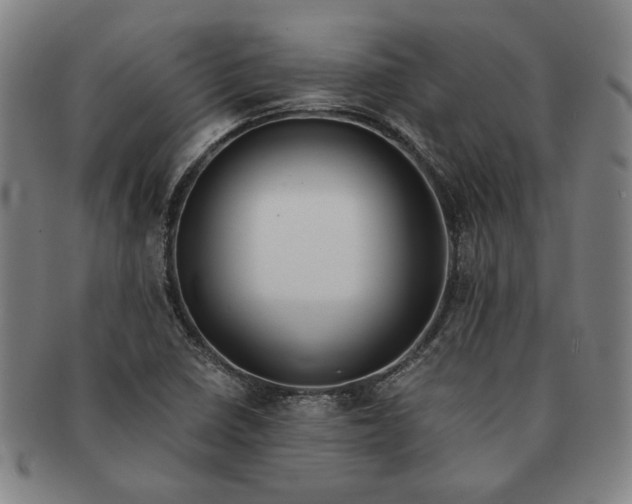 X0000091221410200708301441