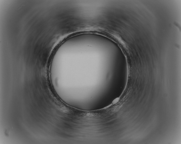 X0000091221412200708301441