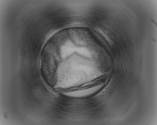 X0000091221413200708301441