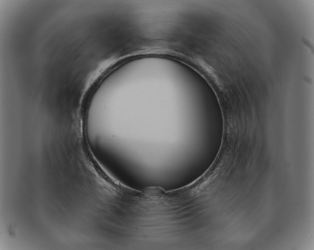 X0000091221414200708301441