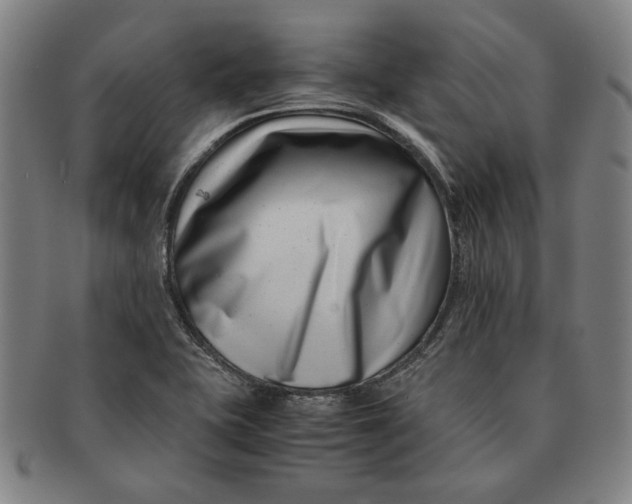 X0000091221415200708301441