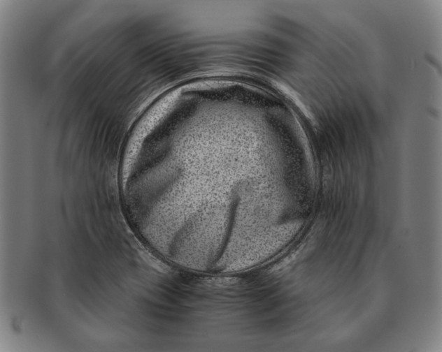 X0000091221417200708301441