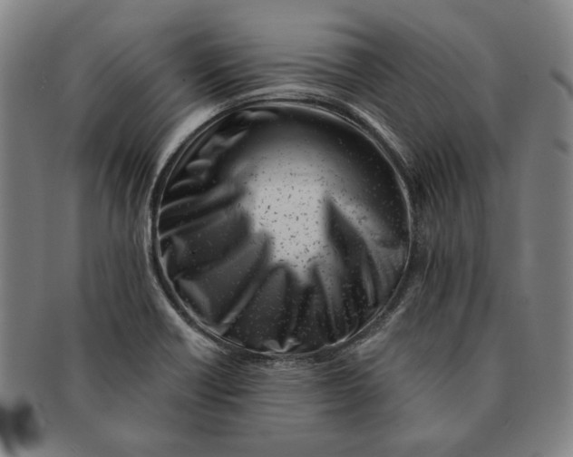 X0000091221418200708301441