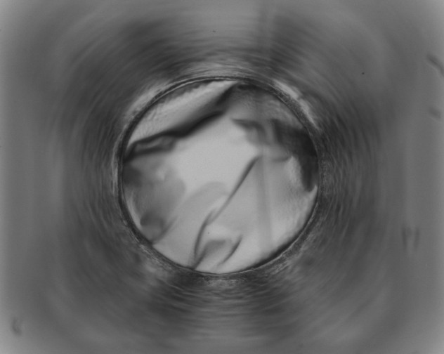 X0000091221419200708301441