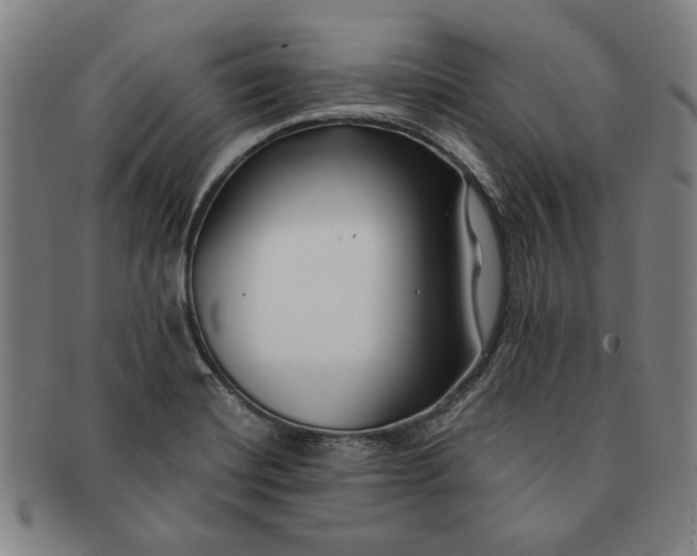 X0000091221420200708301441