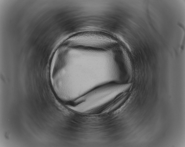 X0000091221421200708301441