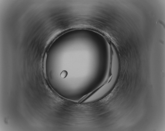 X0000091221422200708301441