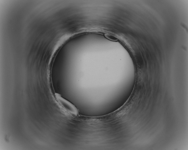 X0000091221424200708301441