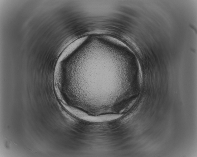 X0000091221425200708301441