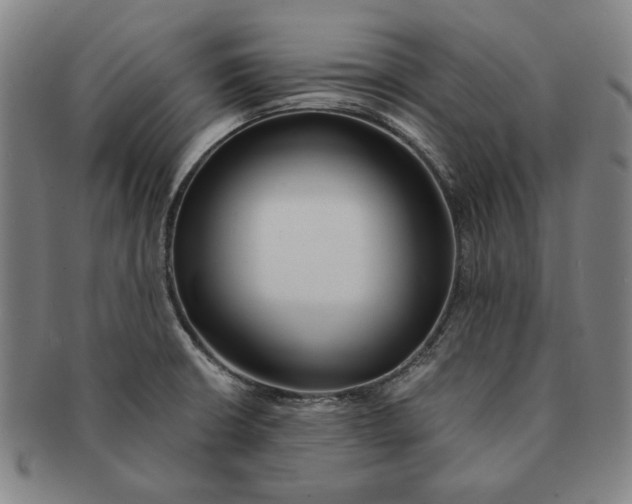 X0000091221426200708301441