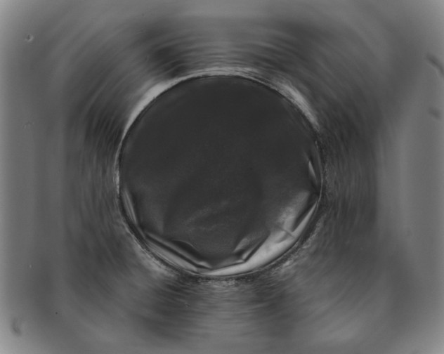 X0000091221428200708301441